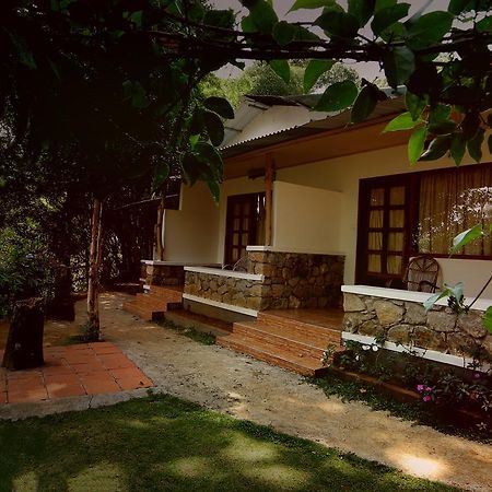 Glenmore Munnar Ngoại thất bức ảnh